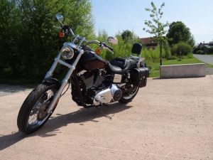 Sacoche Myleatherbikes Harley Dyna Low Rider (53)